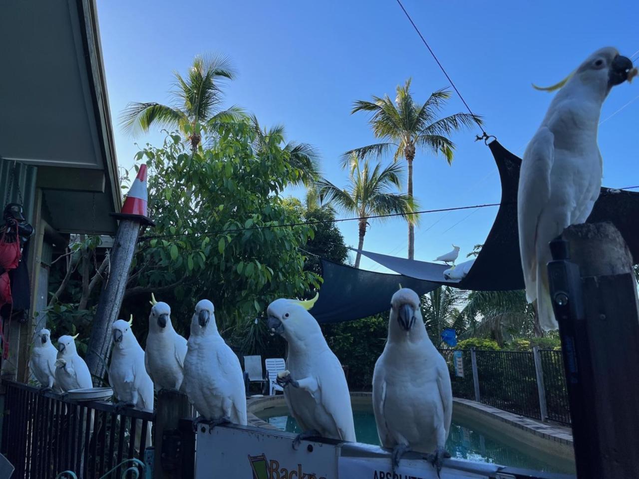 Backpackers By The Bay Vandrarhem Airlie Beach Exteriör bild