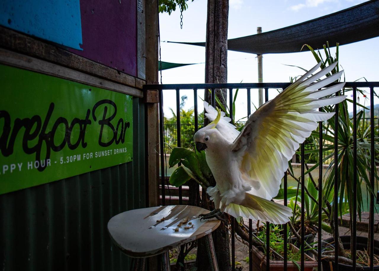 Backpackers By The Bay Vandrarhem Airlie Beach Exteriör bild